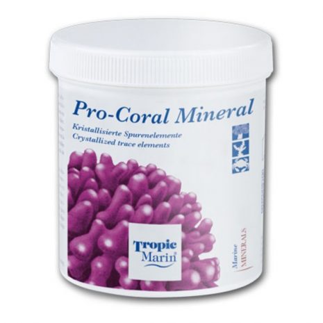 por-coral-mineral.jpg